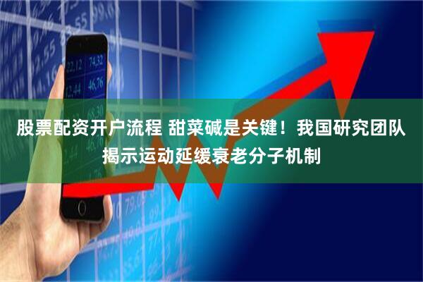 股票配资开户流程 甜菜碱是关键！我国研究团队揭示运动延缓衰老分子机制