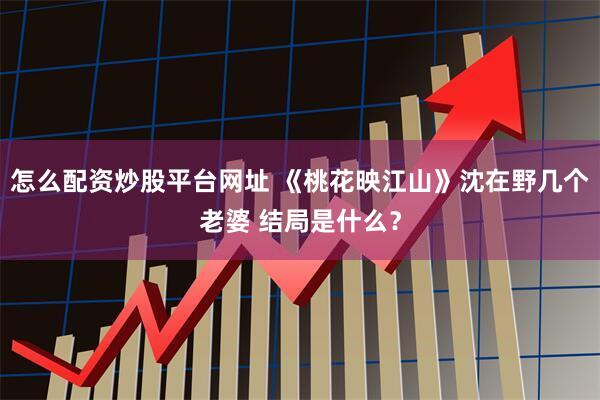 怎么配资炒股平台网址 《桃花映江山》沈在野几个老婆 结局是什么？