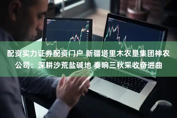 配资实力证券配资门户 新疆塔里木农垦集团神农公司:深耕沙荒盐碱地 奏响三秋采收奋进曲